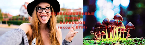 трава Зерноград