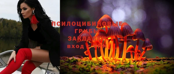 трава Зерноград