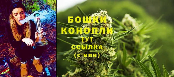 гидра Заволжье