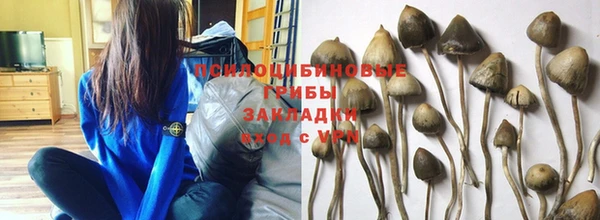 гидра Заволжье